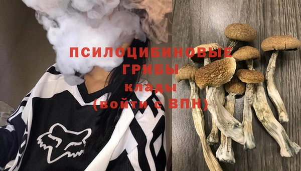 МДПВ Покров