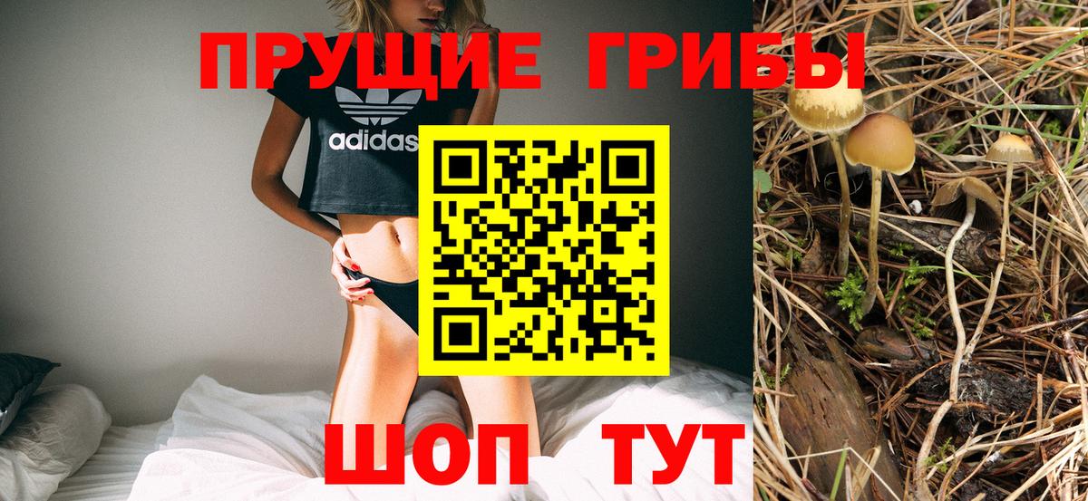Галлюциногенные грибы MAGIC MUSHROOMS Верхняя Салда